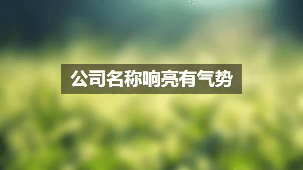 公司名称响亮有气势.png