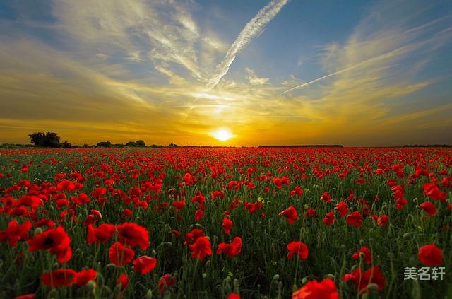 龙姓朗朗上口男孩的名字