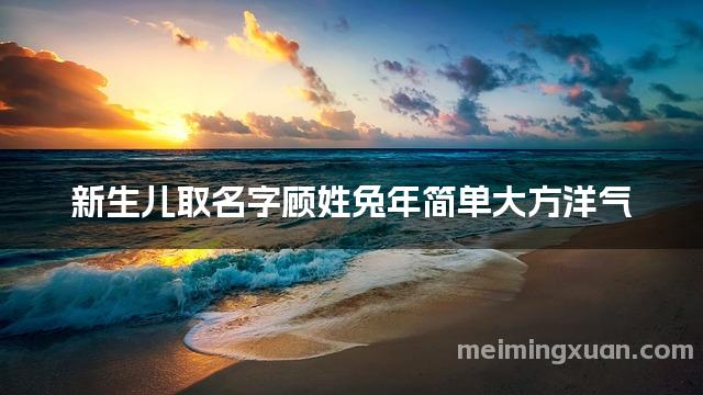 新生儿取名字顾姓兔年简单大方洋气