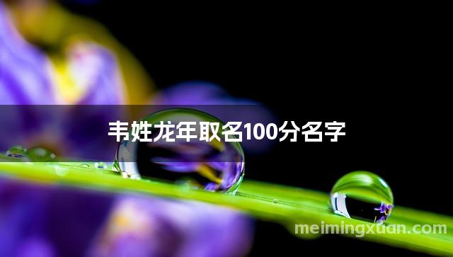 韦姓龙年取名100分名字