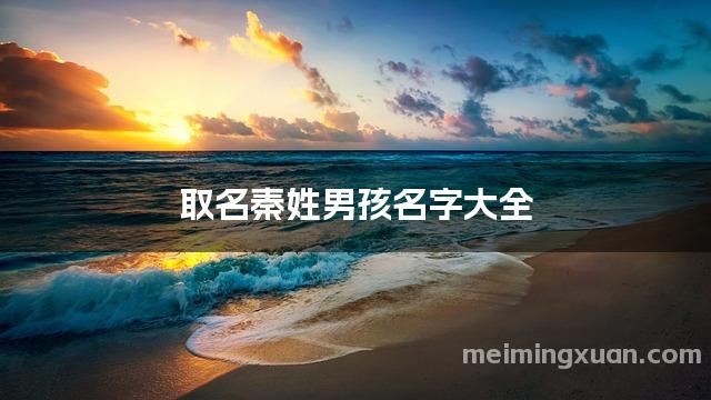 取名秦姓男孩名字大全