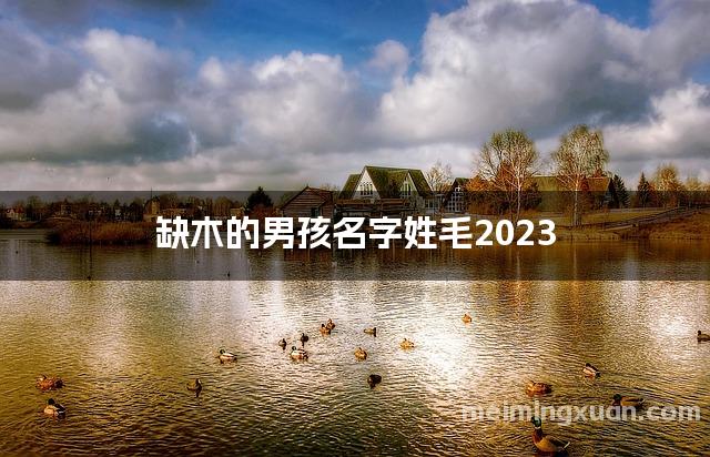 缺木的男孩名字姓毛2023