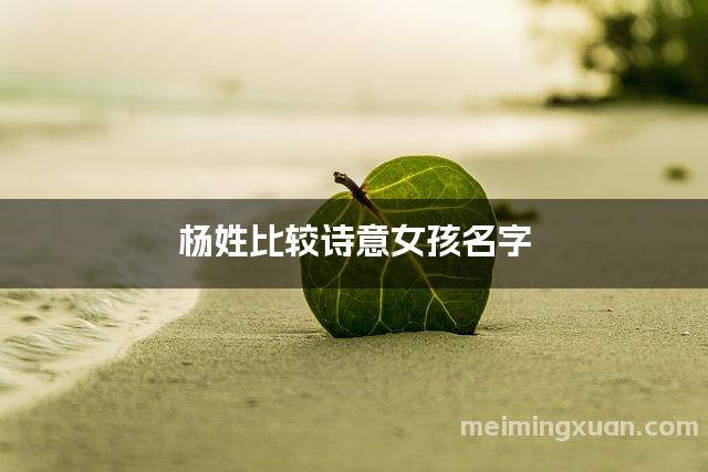 杨姓比较诗意女孩名字