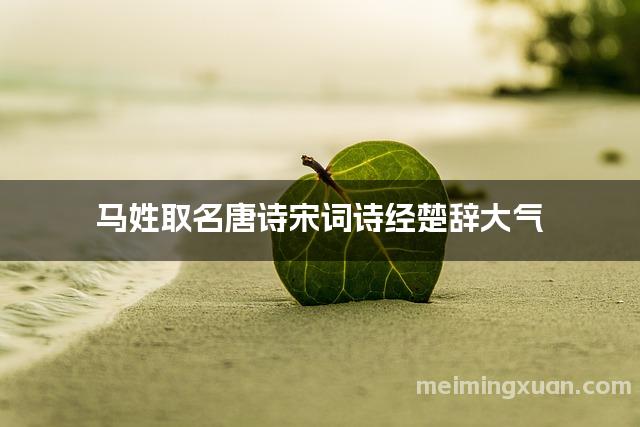 马姓取名唐诗宋词诗经楚辞大气