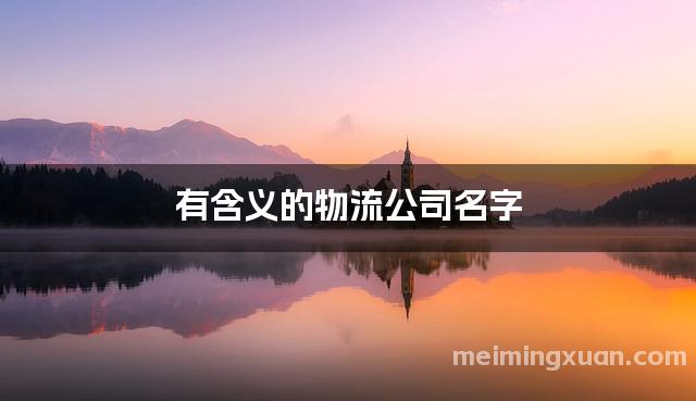 有含义的物流公司名字