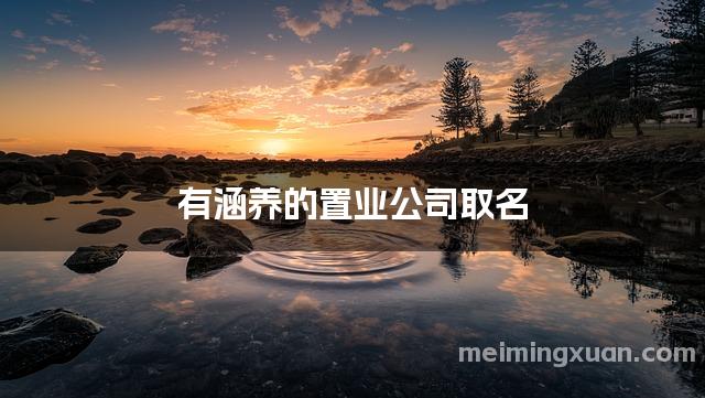 有涵养的置业公司取名