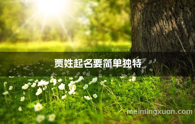 贾姓起名要简单独特