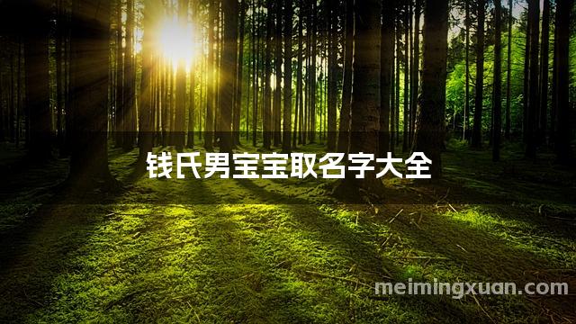 钱氏男宝宝取名字大全