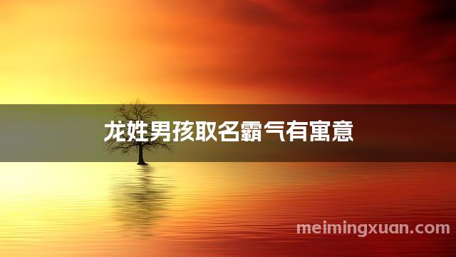 龙姓男孩取名霸气有寓意