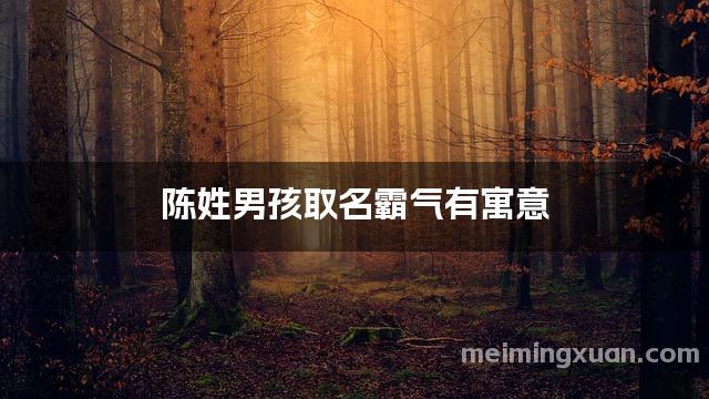 陈姓男孩取名霸气有寓意