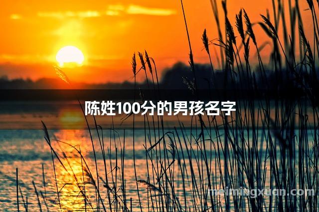 陈姓100分的男孩名字
