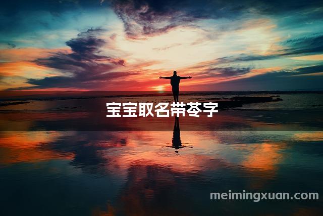 宝宝取名带苓字
