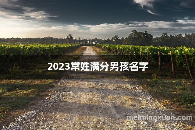 2023常姓满分男孩名字