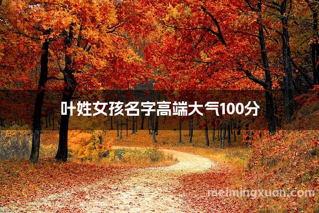叶姓女孩名字高端大气100分