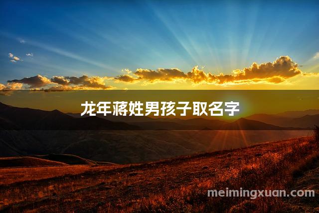 龙年蒋姓男孩子取名字