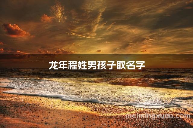 龙年程姓男孩子取名字