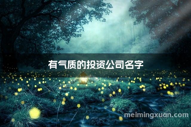 有气质的投资公司名字