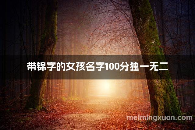 带锦字的女孩名字100分独一无二