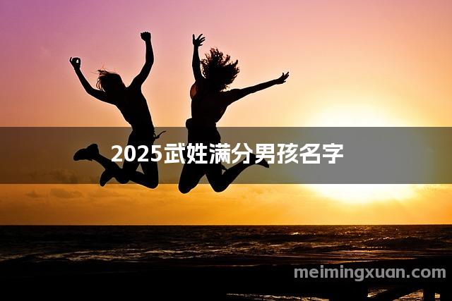 2025武姓满分男孩名字