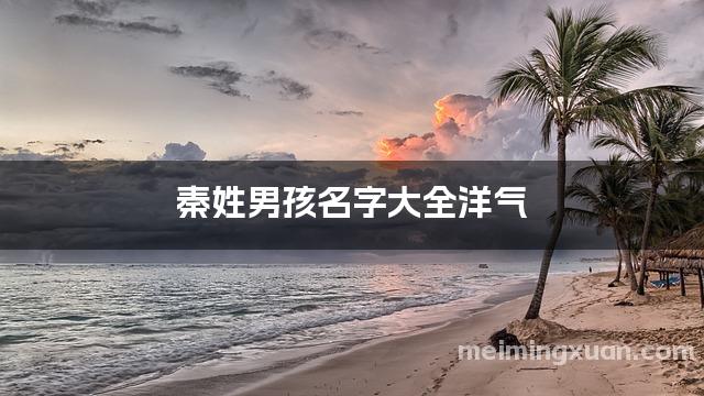 秦姓男孩名字大全洋气