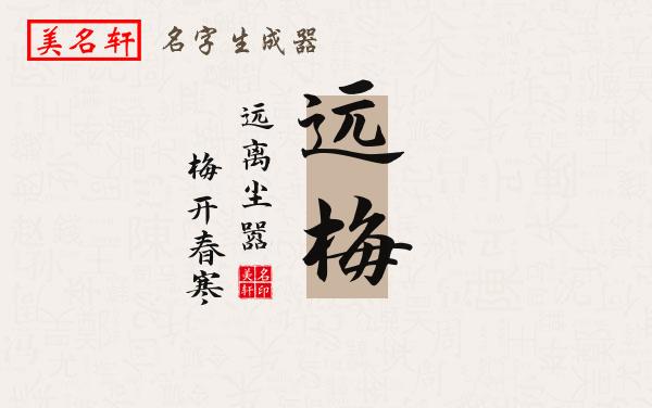 远梅名字的寓意