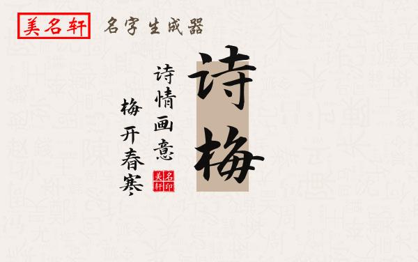 诗梅名字的寓意