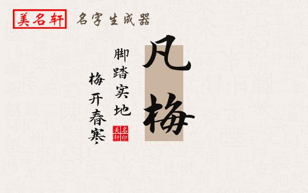 凡梅名字的寓意