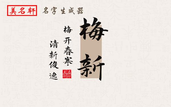 梅新名字的寓意