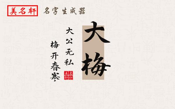 大梅名字的寓意