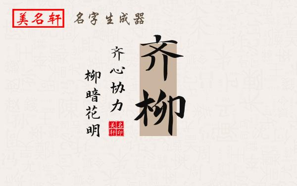 齐柳名字的寓意
