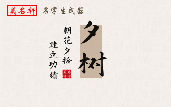 夕树名字的寓意
