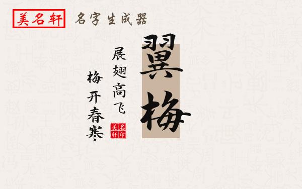 翼梅名字的寓意